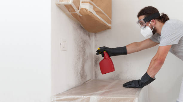 Professional Bathroom Mold Removal technician working in Grasonville, MD